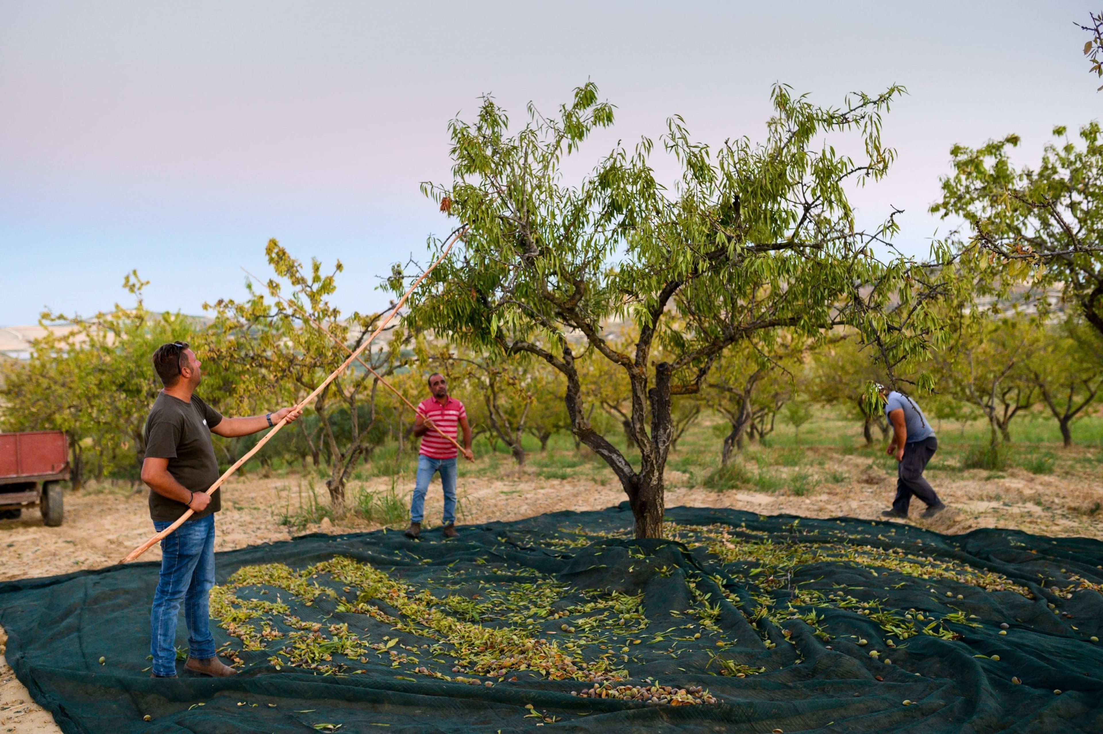 99% assumono a tempo indeterminato 