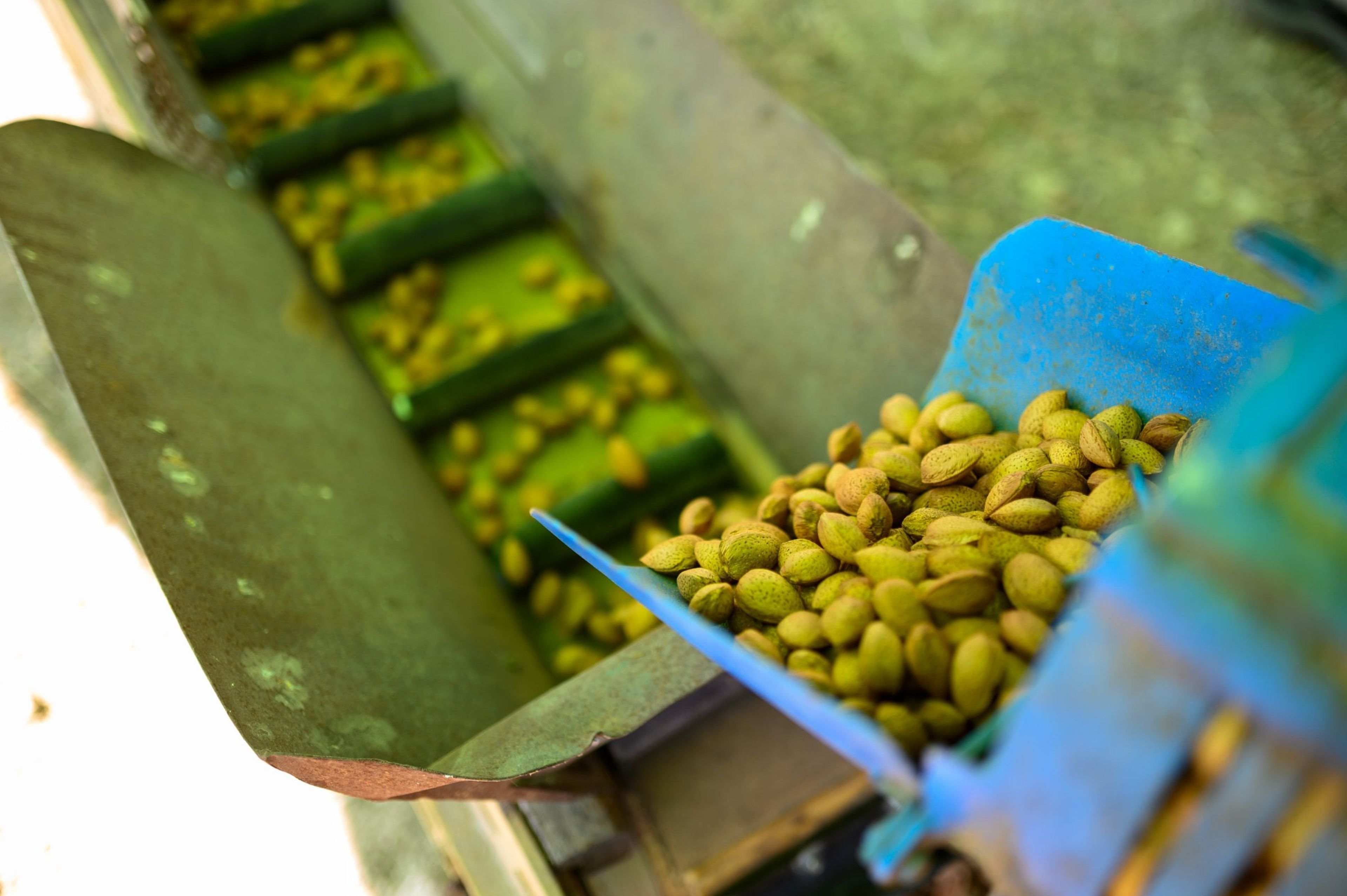 65% materie prime locali nella produzione