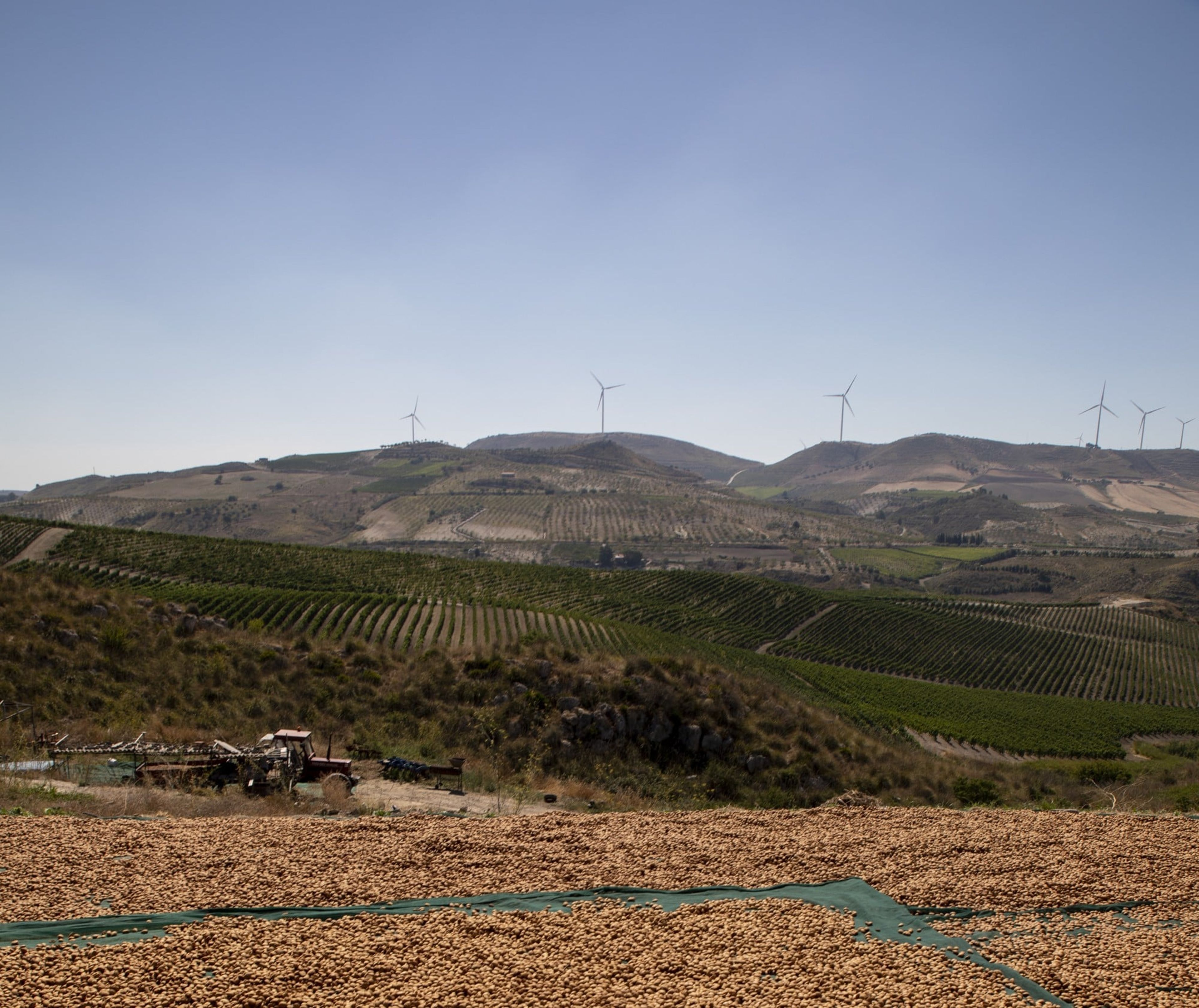 80% riciclano le proprie risorse 