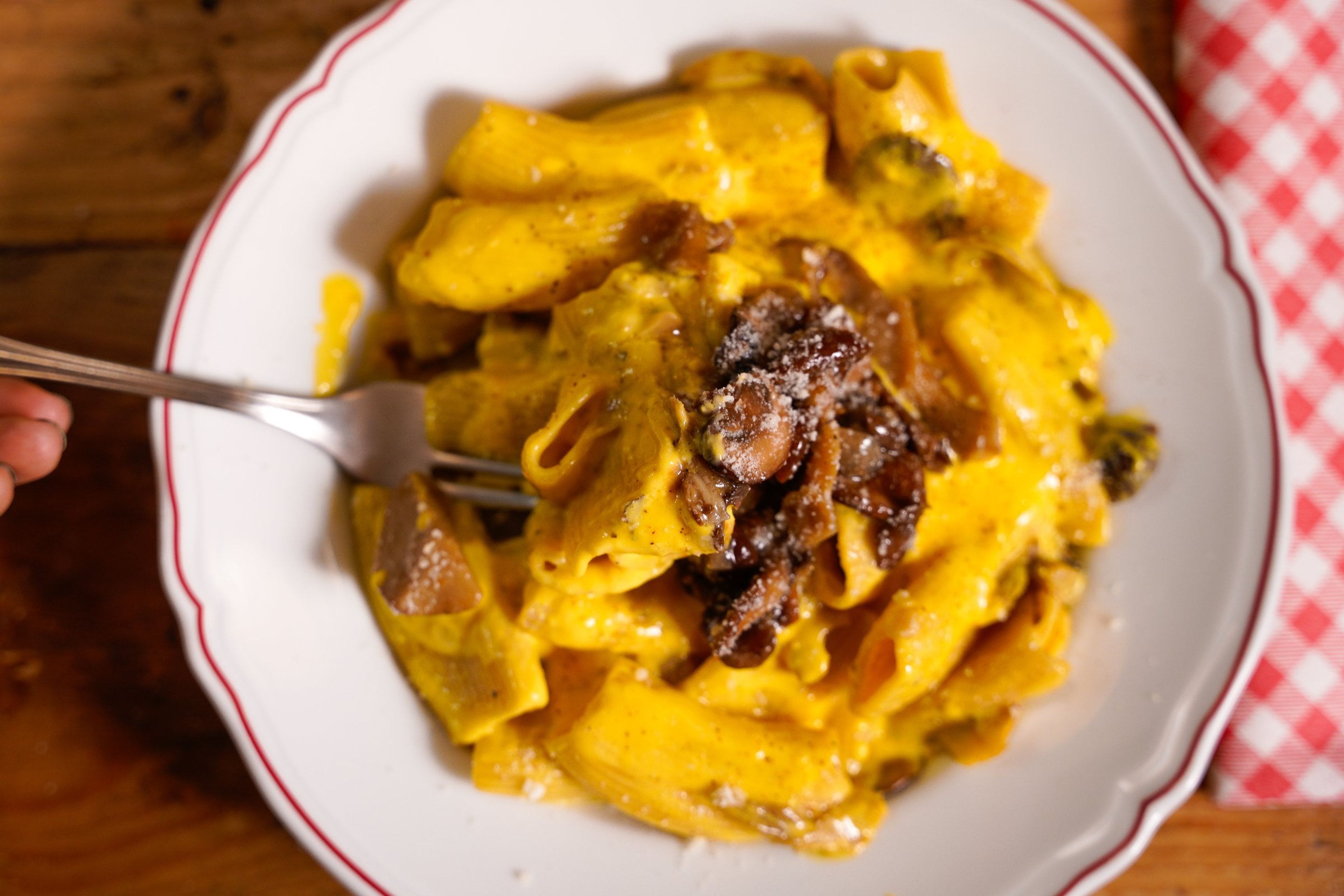 carbofunghi vegetariana - vista dall'alto