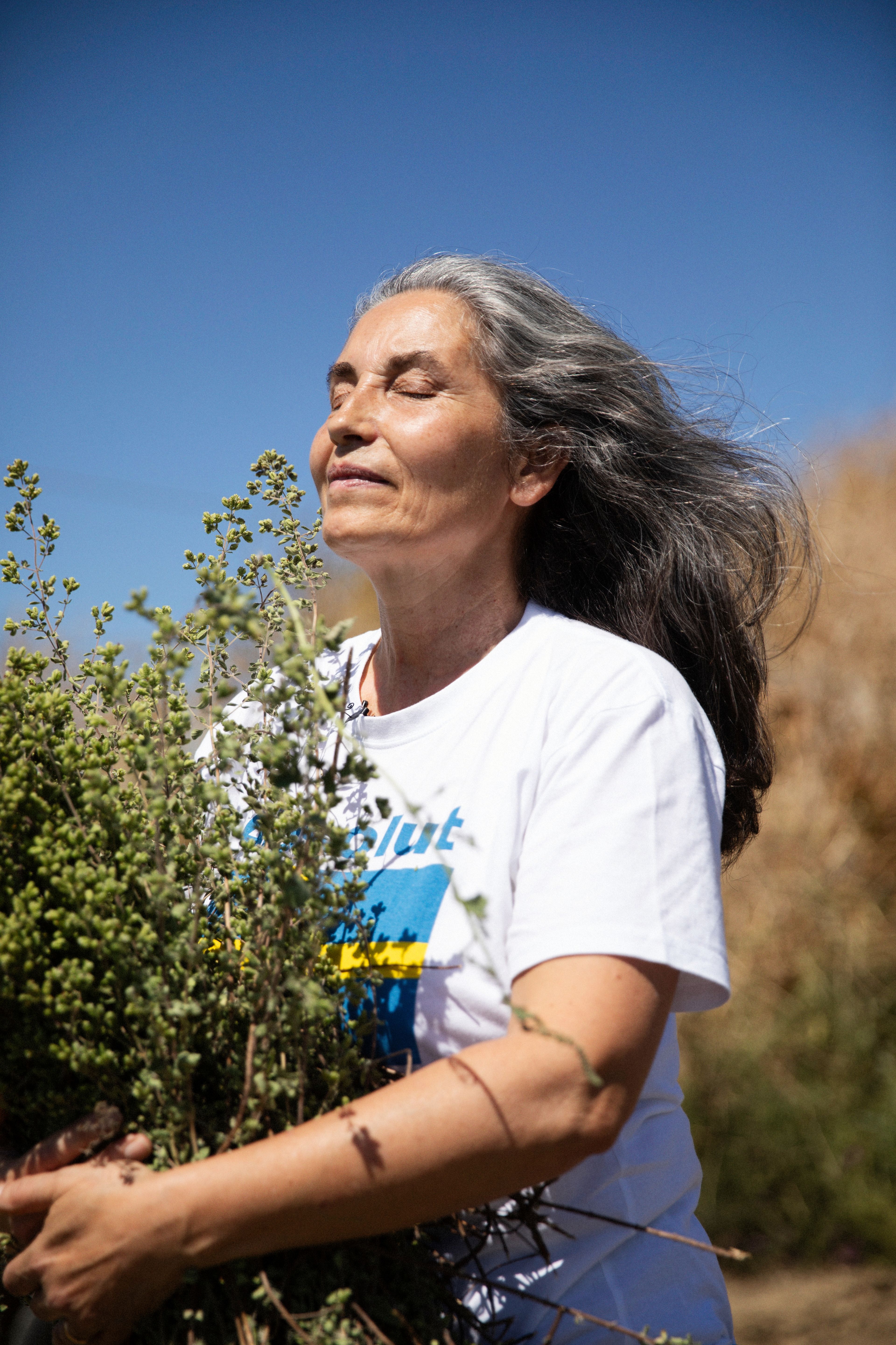 A woman with long gray hair holds a bundle of fresh herbs outdoors under bright sunlight.