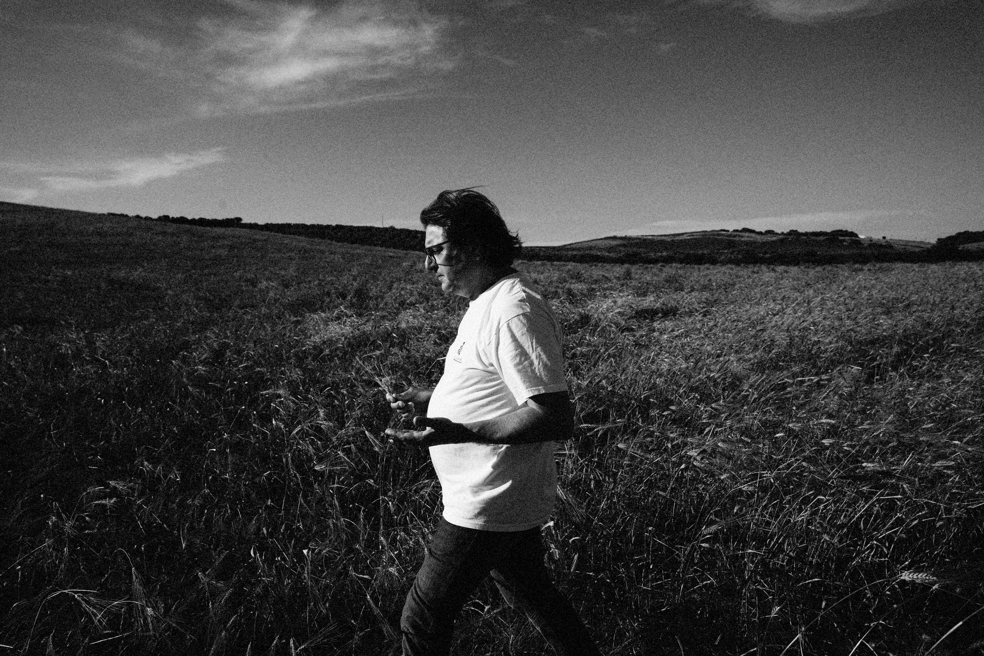 A man walks through a vast, sunlit field of wheat under a dramatic sky.
