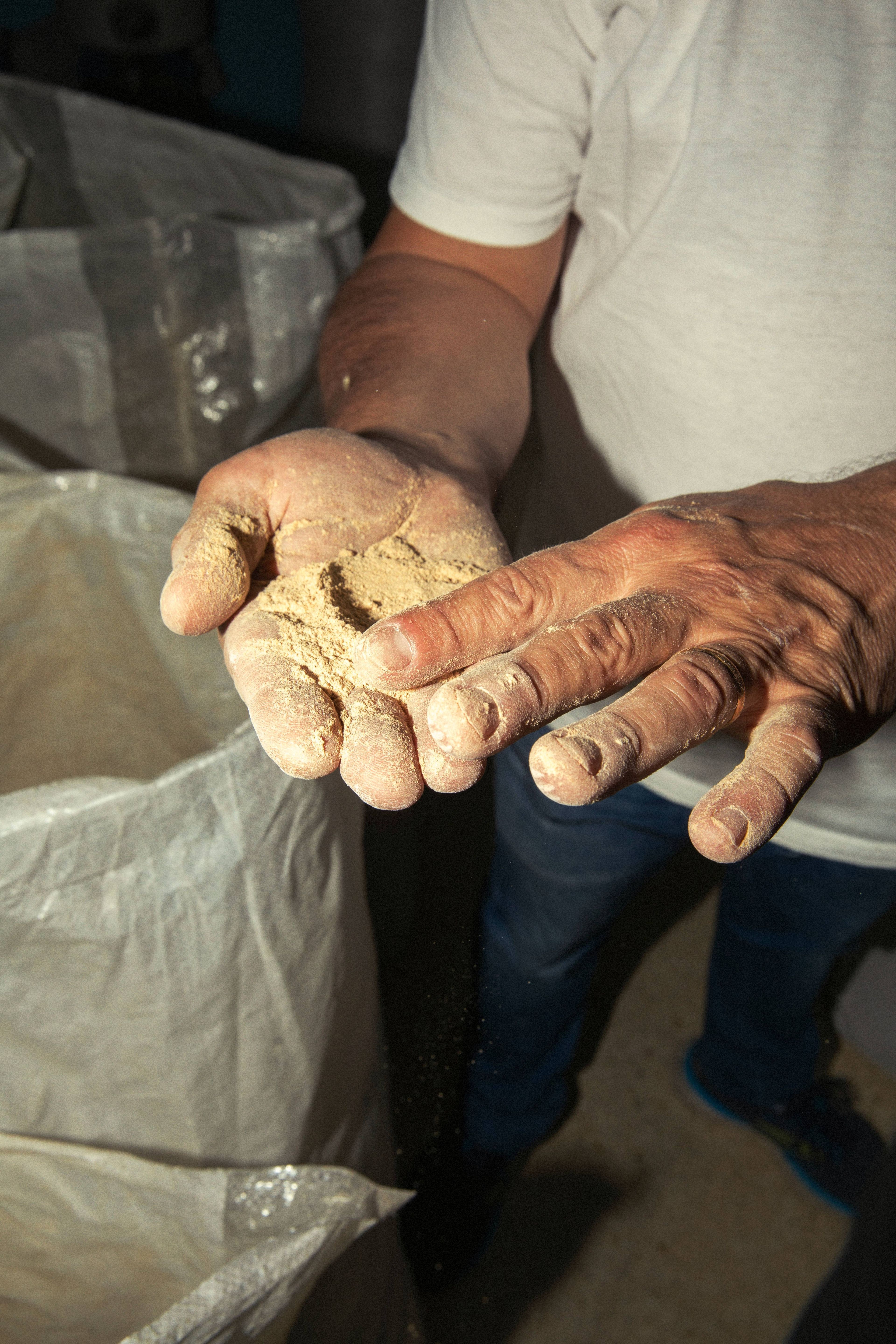 A person holds a handful of finely ground grain or flour in a dimly lit, rustic workspace.