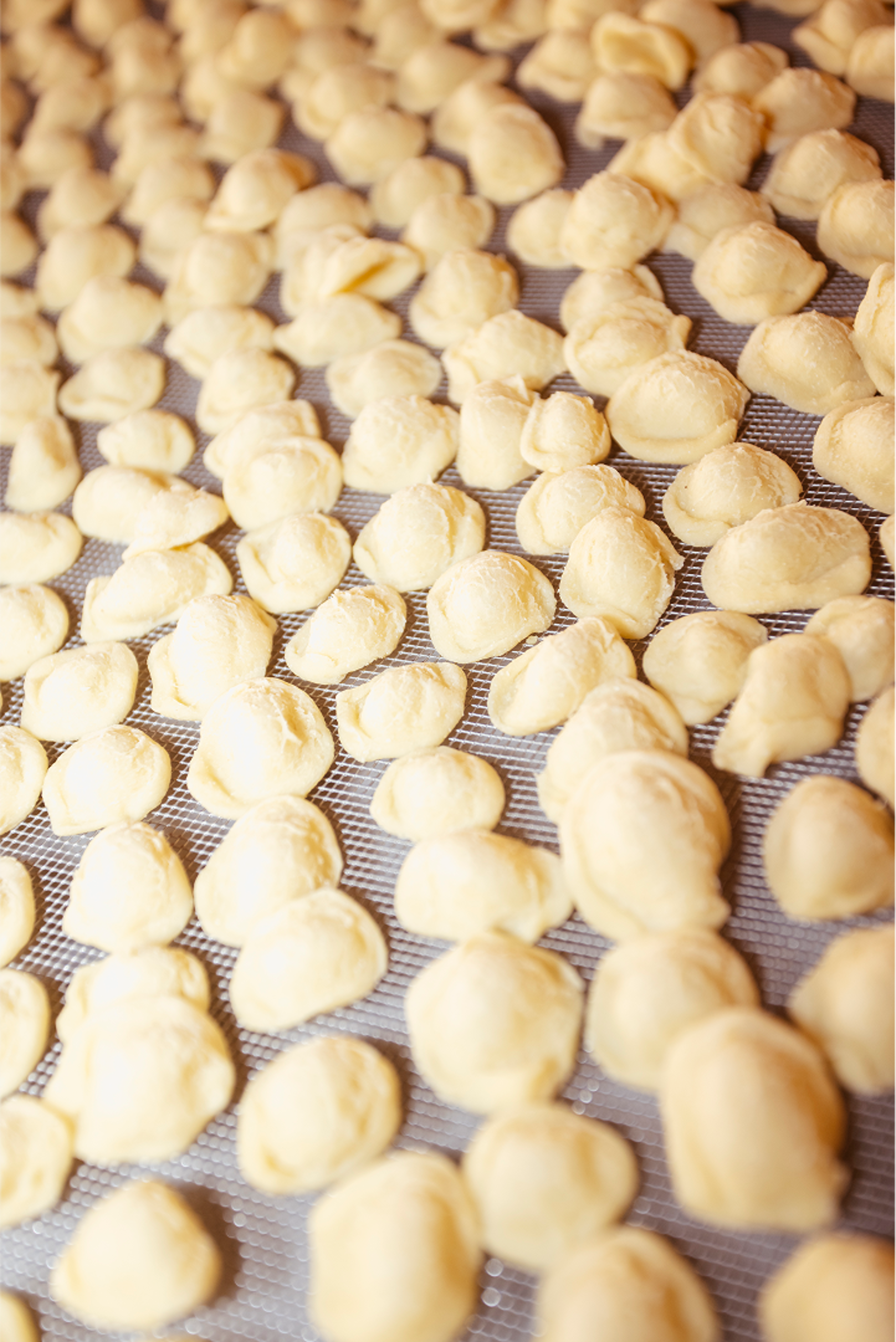 Orecchiette pugliesi