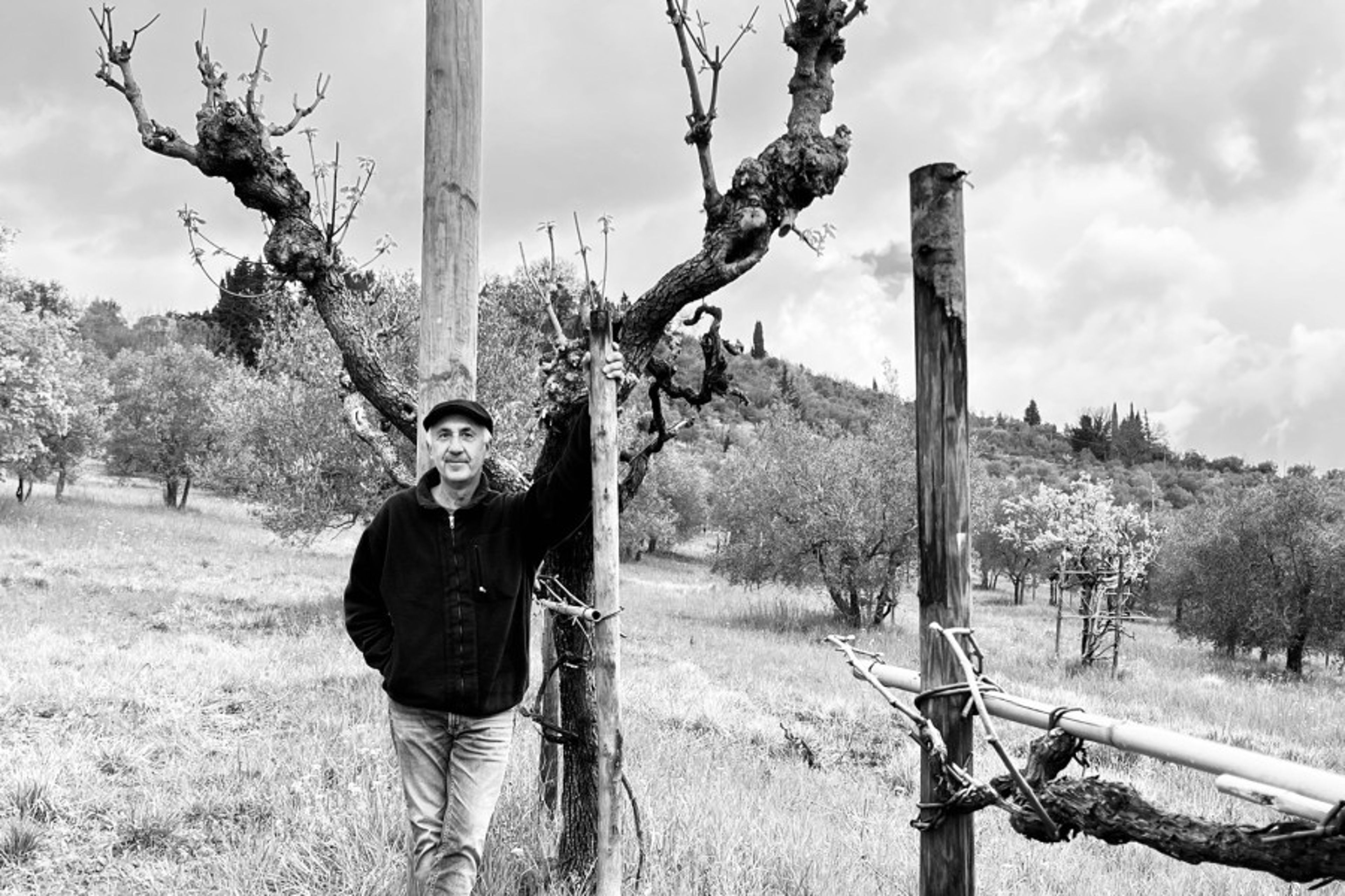 A man stands in a rustic vineyard landscape with gnarled trees and rolling hills in the background.