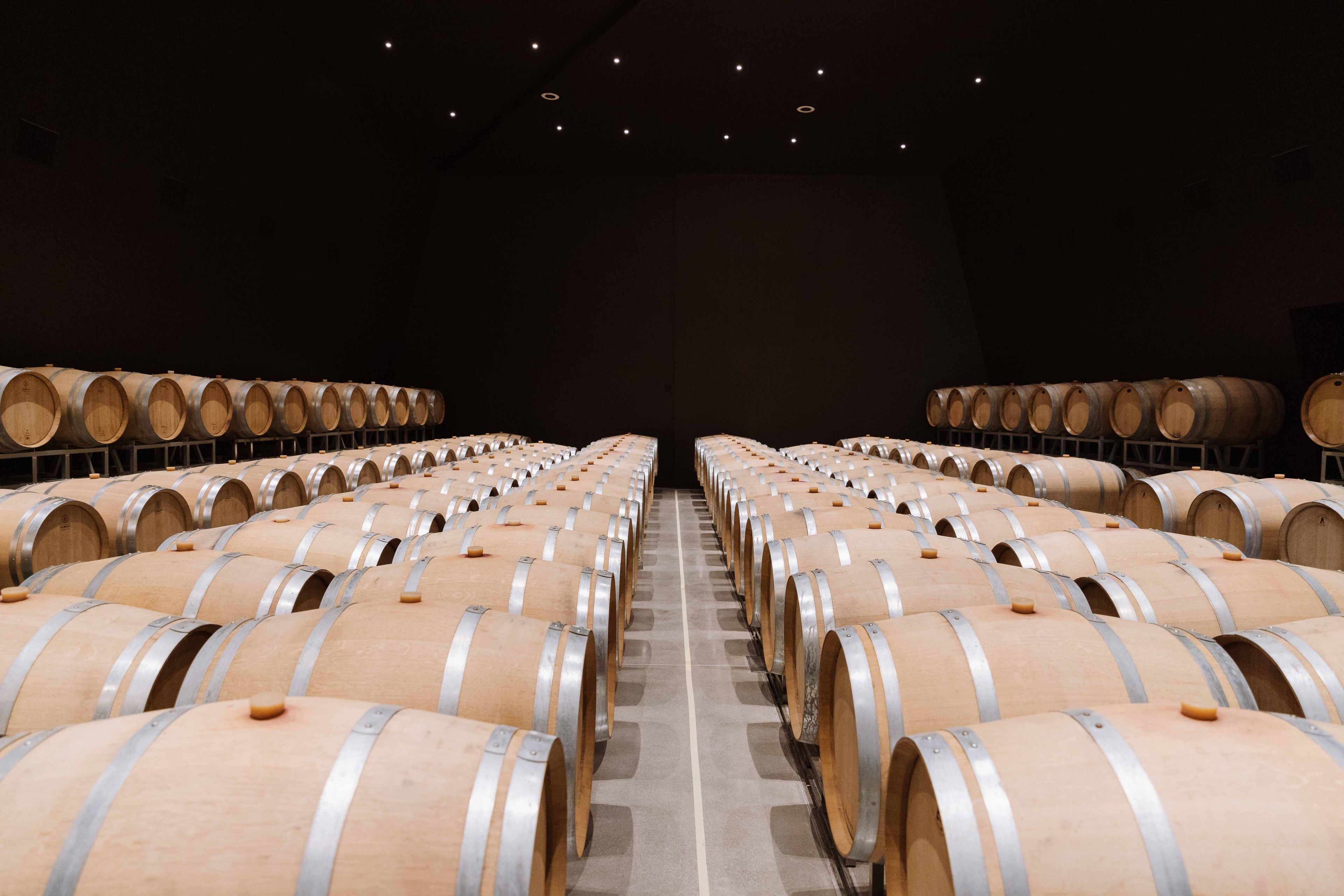 A dimly lit, modern wine cellar features rows of wooden barrels arranged symmetrically on a concrete floor.