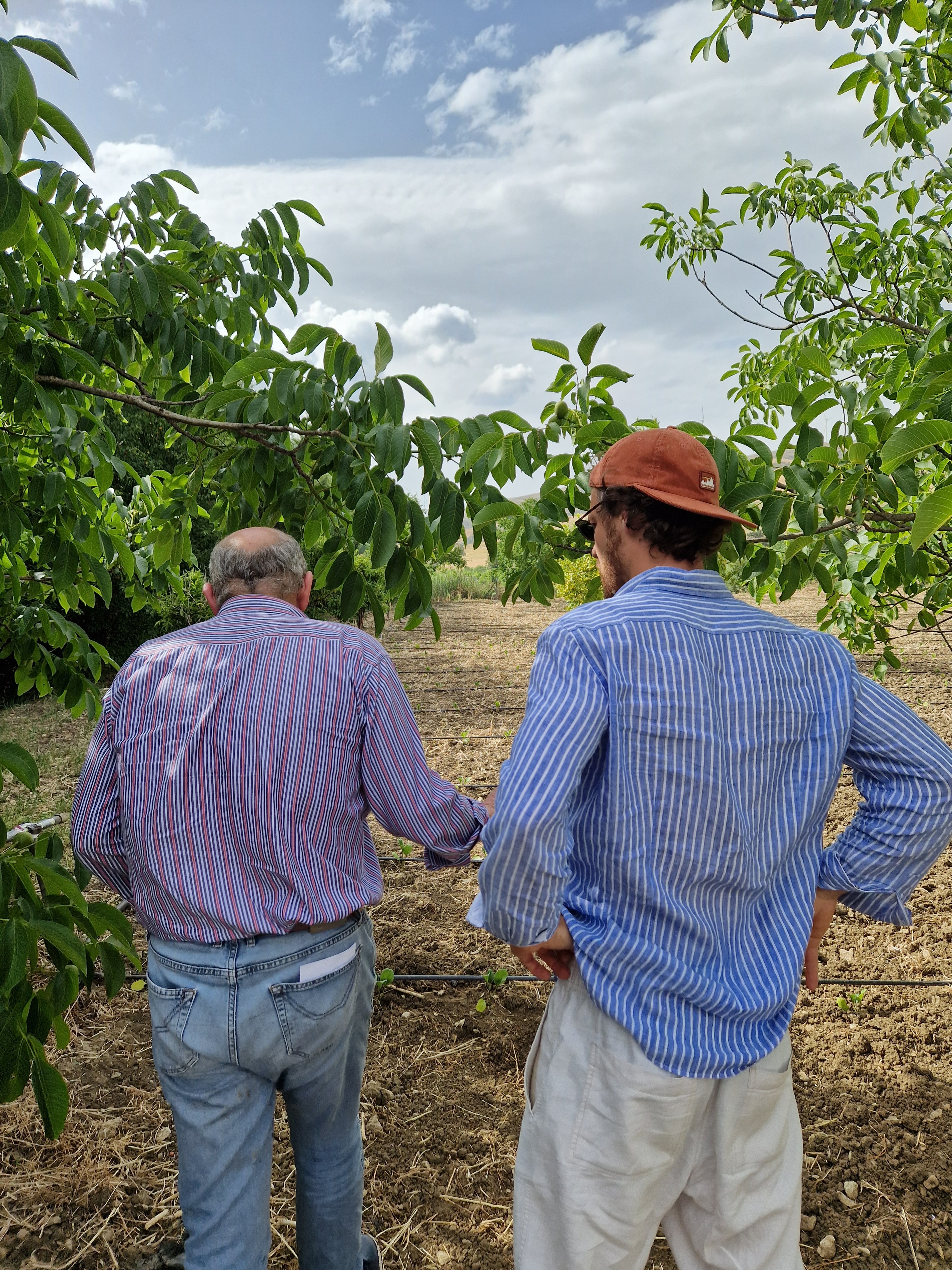 agricoltore che mostra il suo campo
