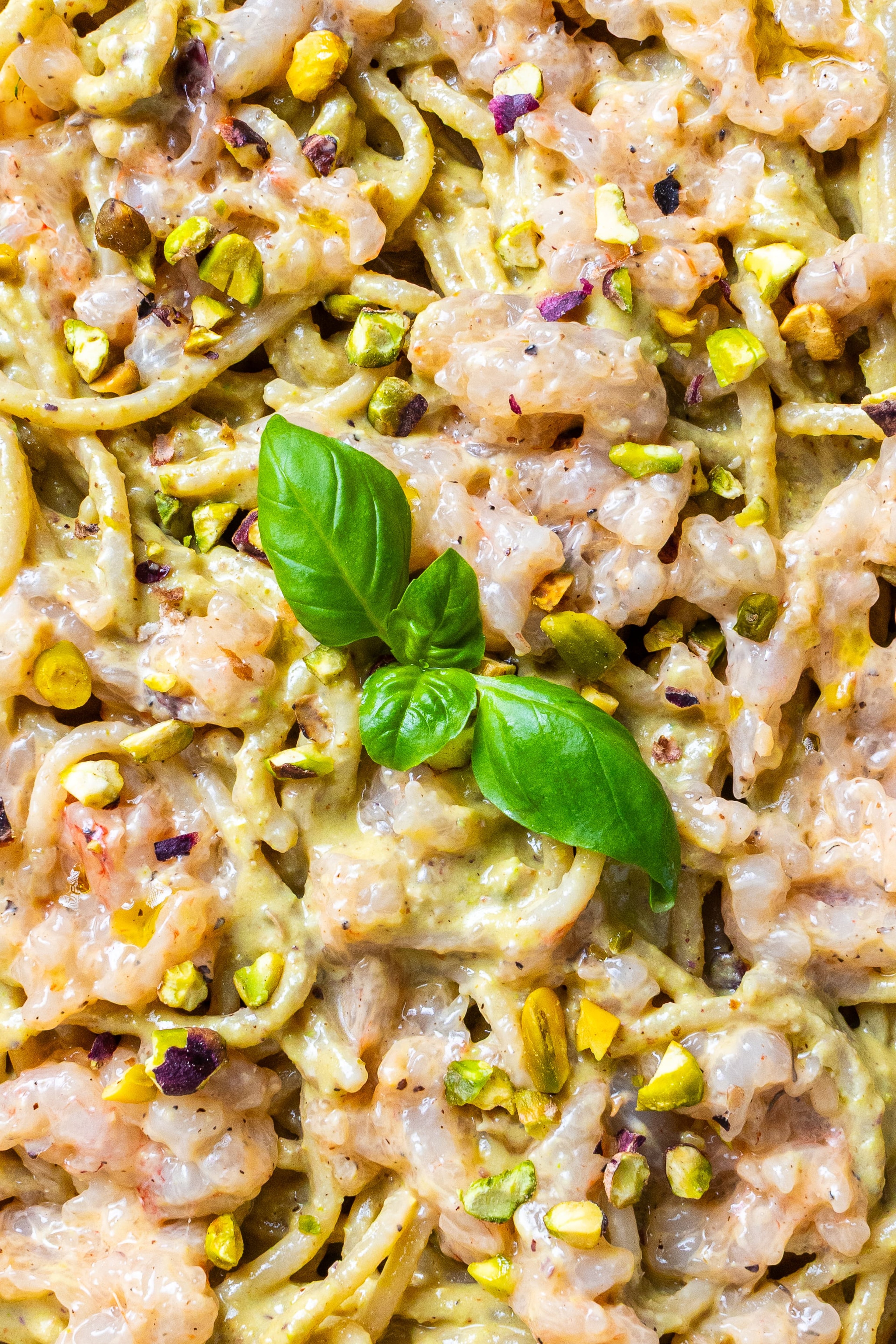A close-up view of creamy pasta tossed with raw shrimp, crushed pistachios, and fresh basil leaves.