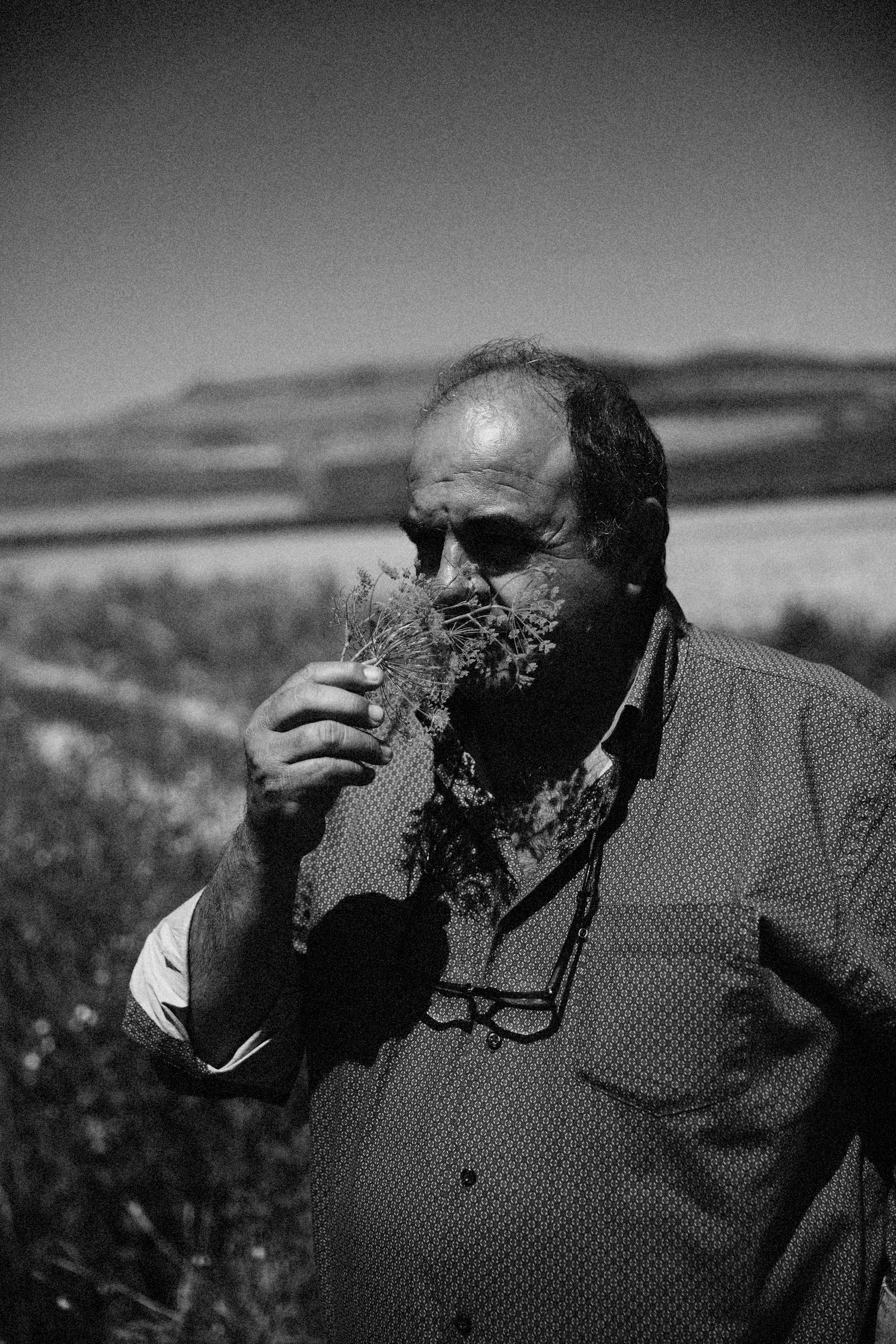 A man in a field pauses to smell a fresh, flowering herb.