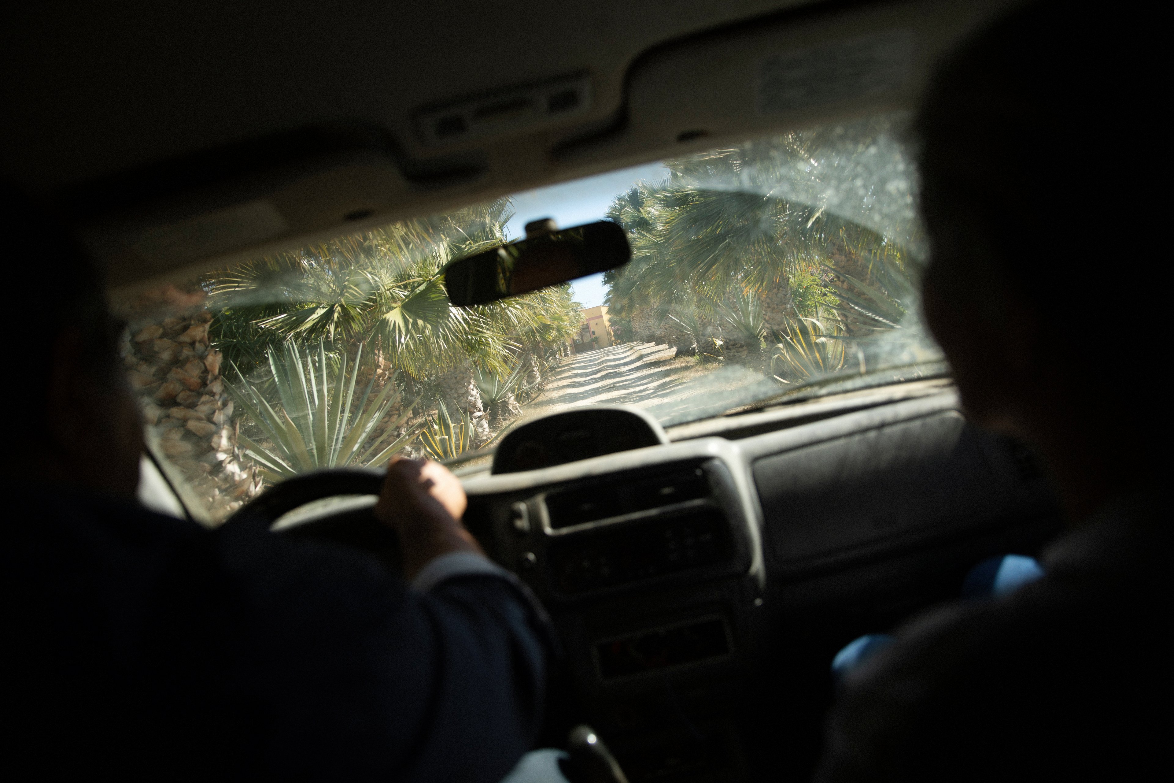 A view from inside a car driving down a sunlit path lined with agave plants.