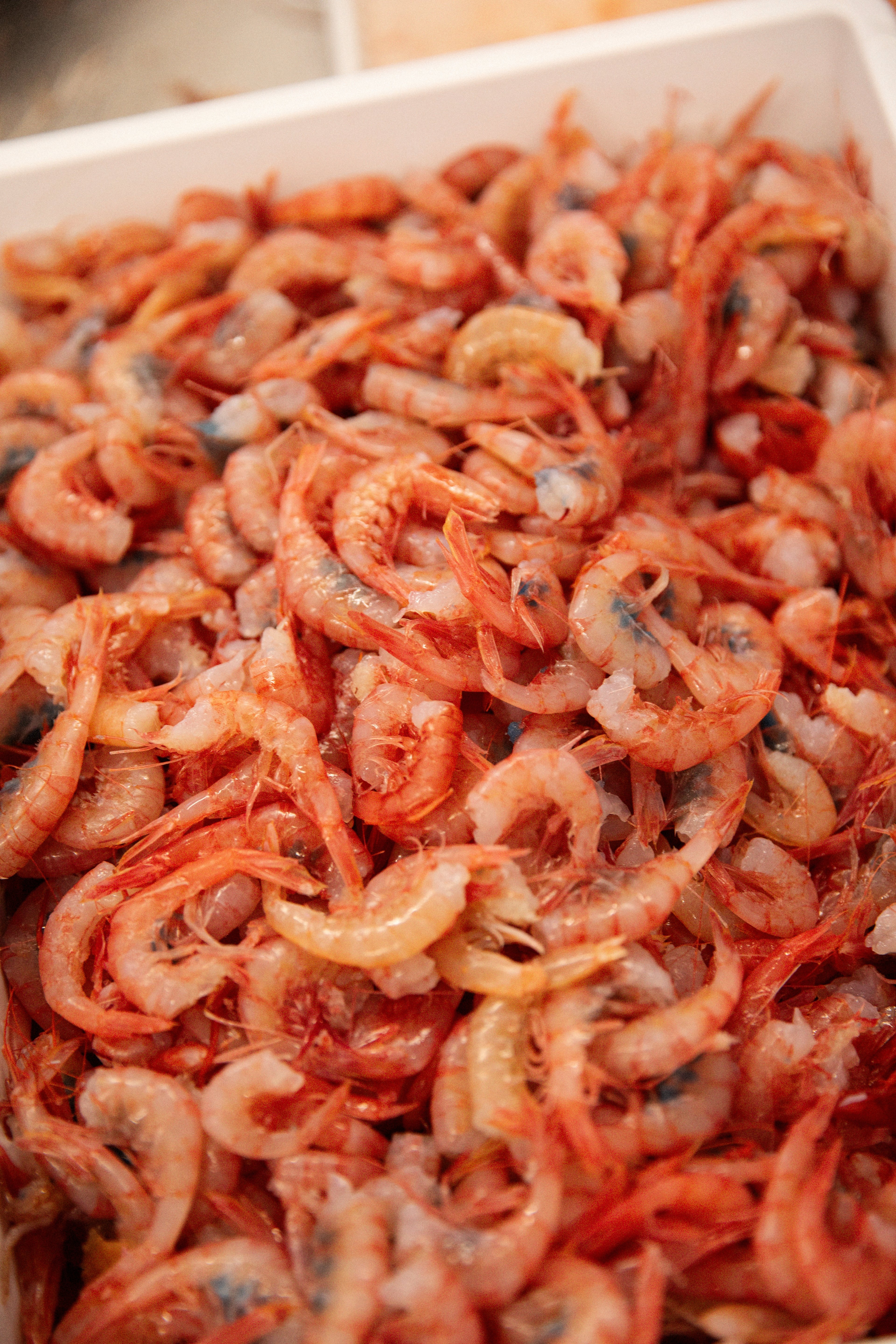 A large pile of fresh, raw pink shrimp is displayed in a white container.