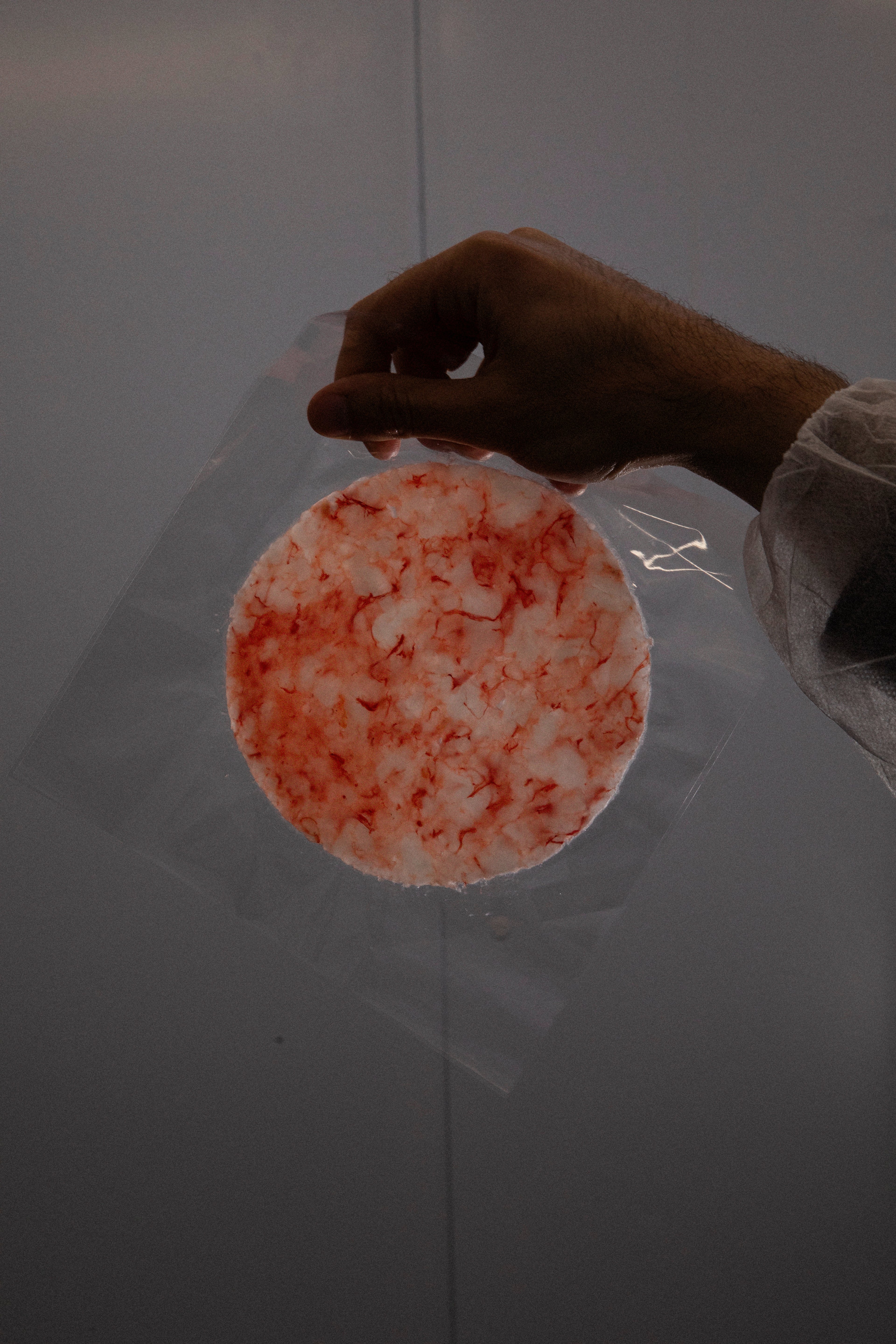 A person in a lab coat holds a circular, thin slice of marbled raw meat encased in clear plastic against a bright light.