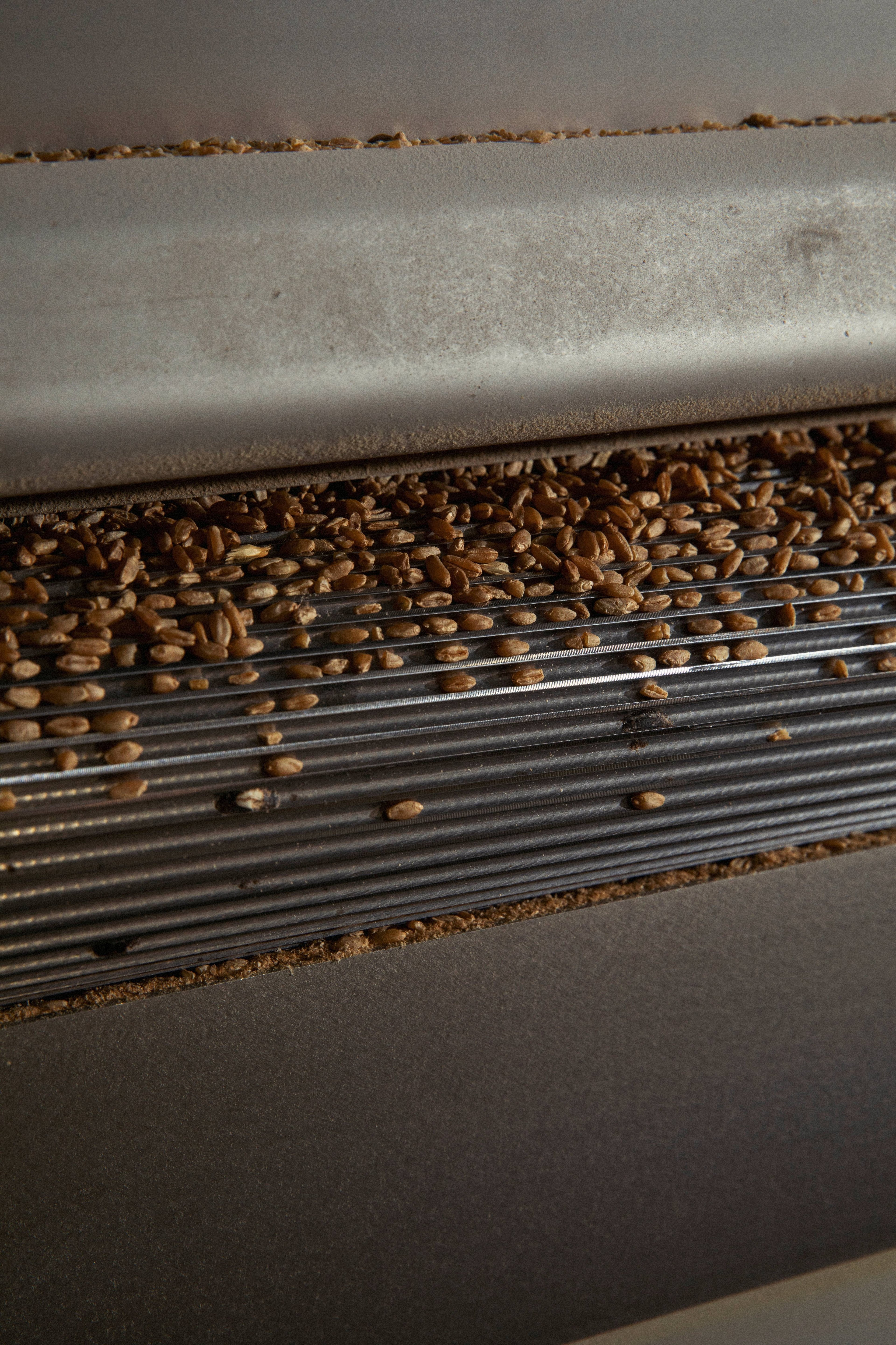 A close-up view shows raw wheat grains being processed through industrial milling machinery.
