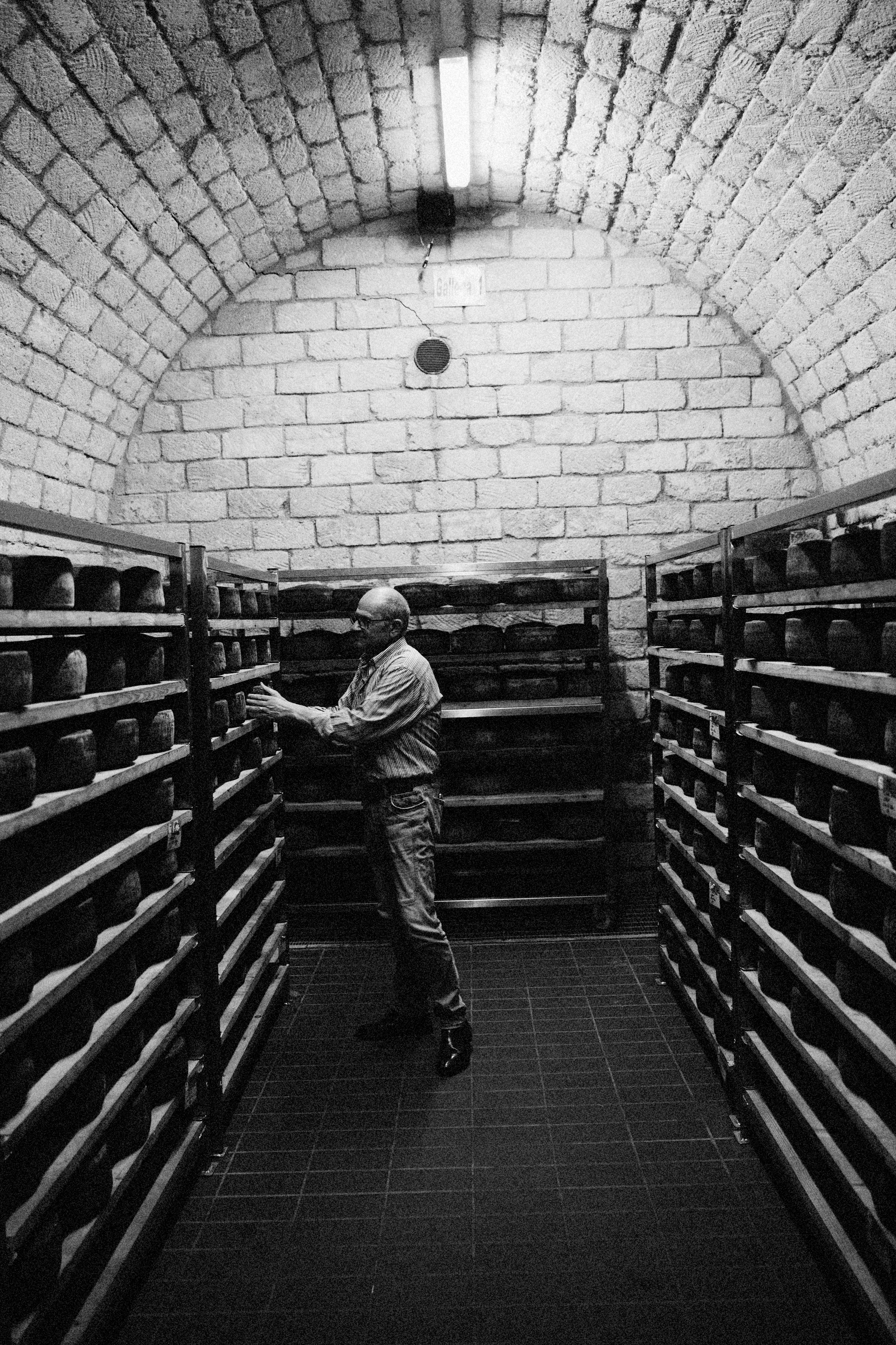 A man inspects rows of aging cheese wheels stored on metal shelves in a dimly lit, vaulted stone cellar.