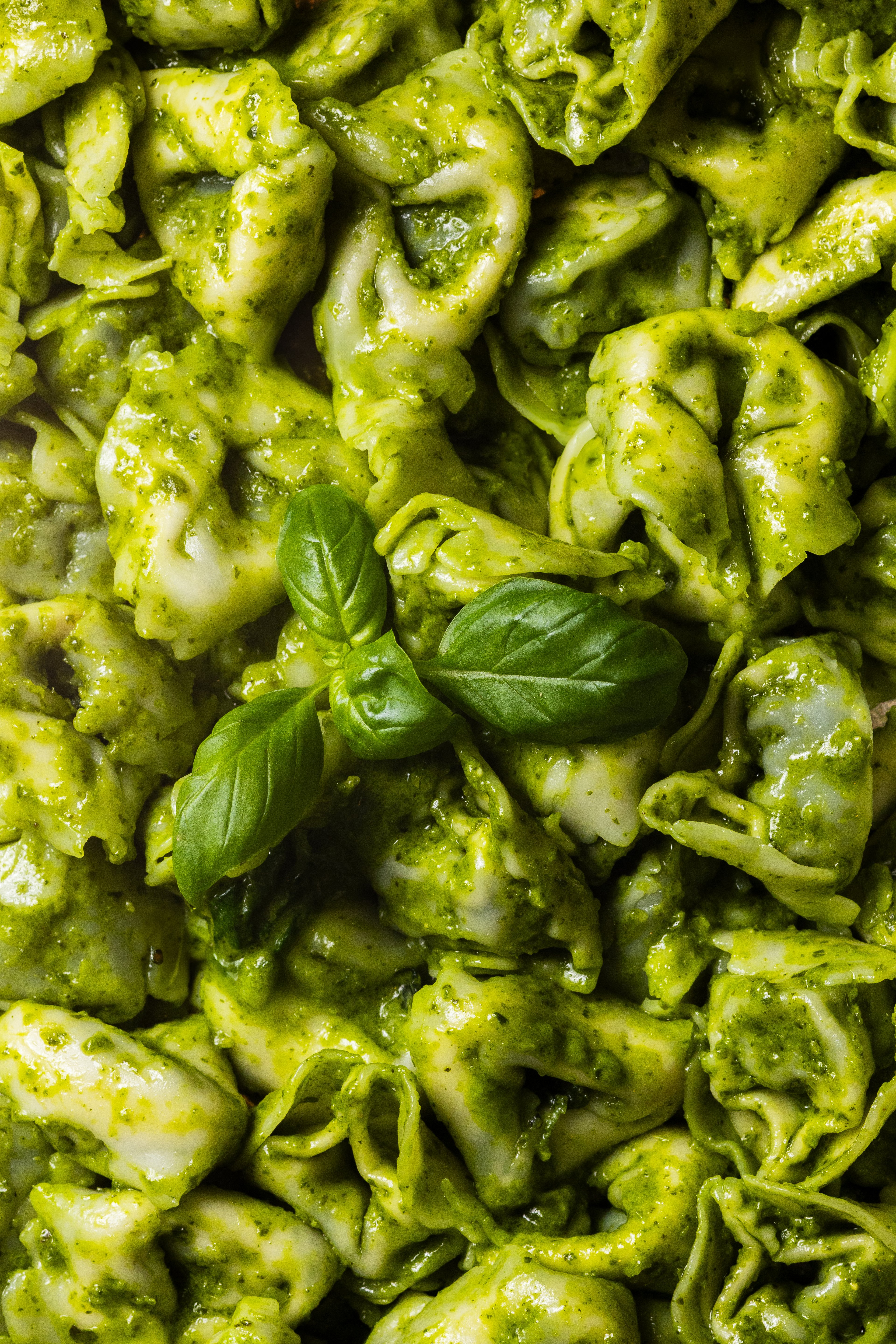 A close-up overhead view of fresh tortellini pasta coated in vibrant green pesto sauce and garnished with a sprig of basil.