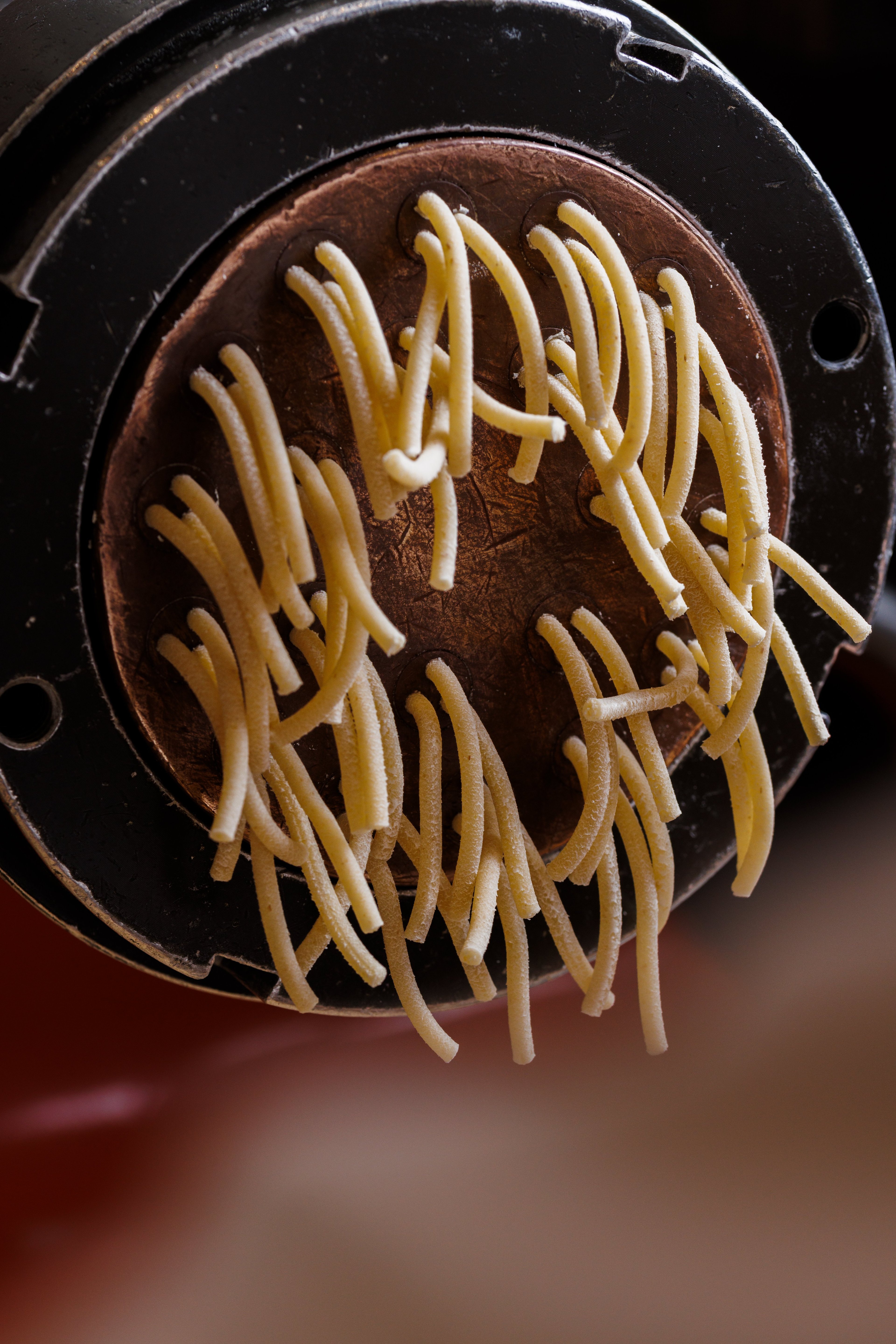 Fresh pasta dough is being extruded through a bronze die of a pasta machine.