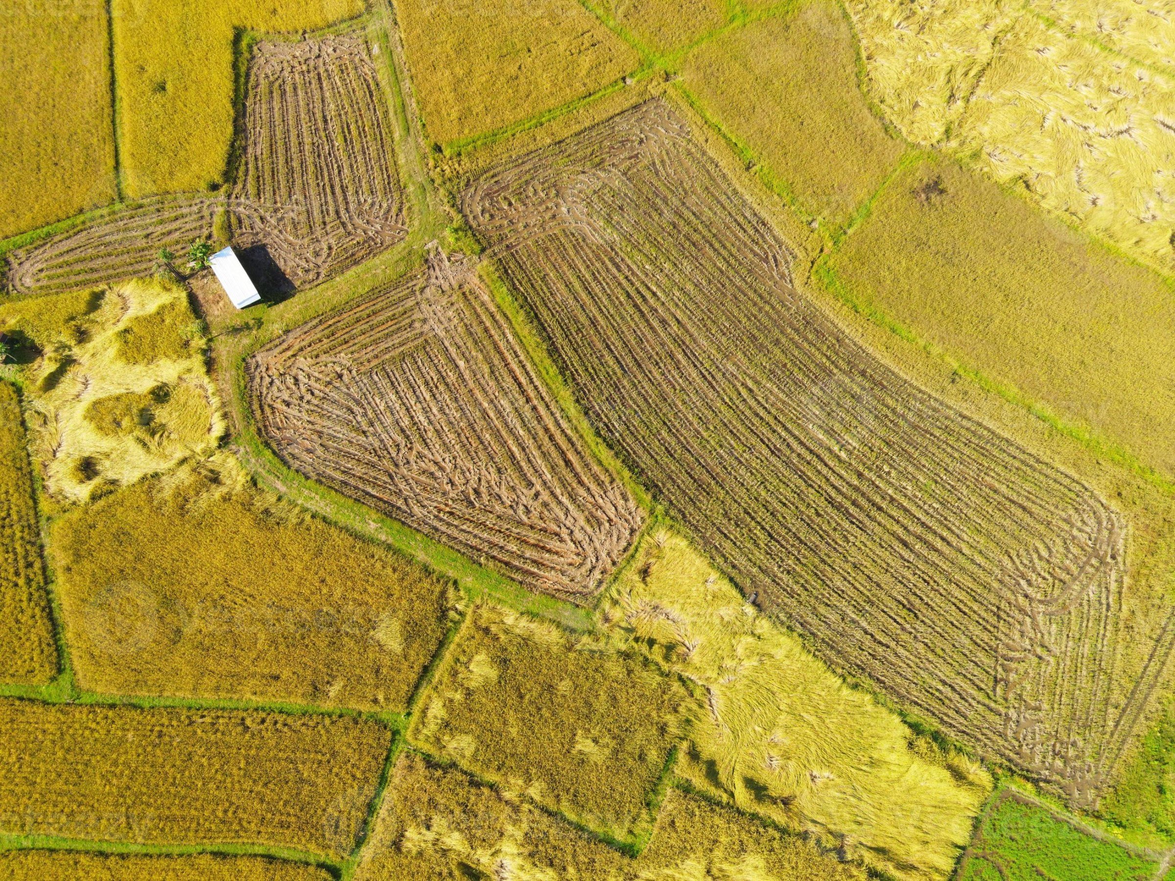 eliminare_campo.jpg
