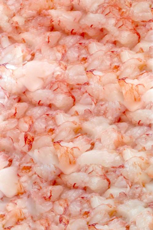 Tartare di gamberi di Mazara del Vallo